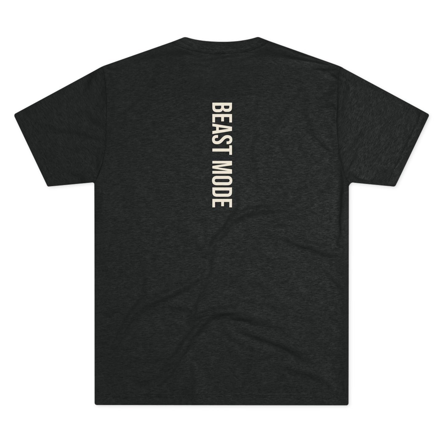 Beast Mode Series - Train Like a Beast, Rise Like a King - Triblend T-shirt