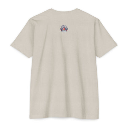 Painted Patriotic Skull - T-shirt